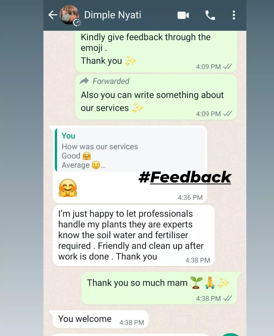 Feedback 4