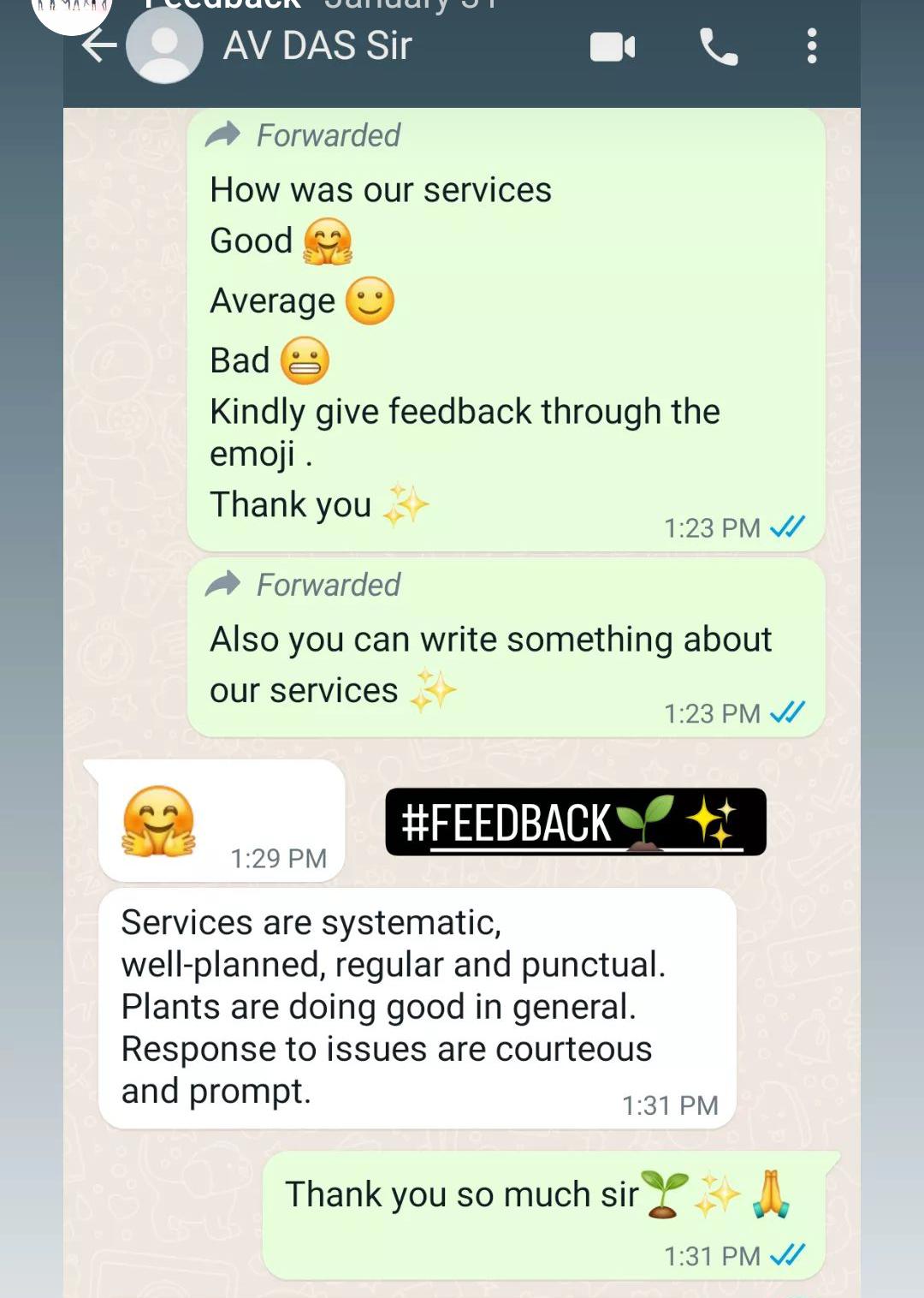 Feedback 5