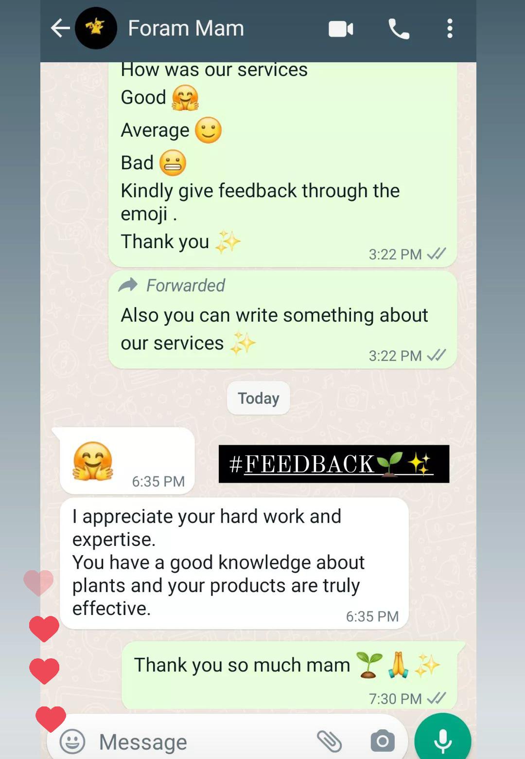 Feedback 6