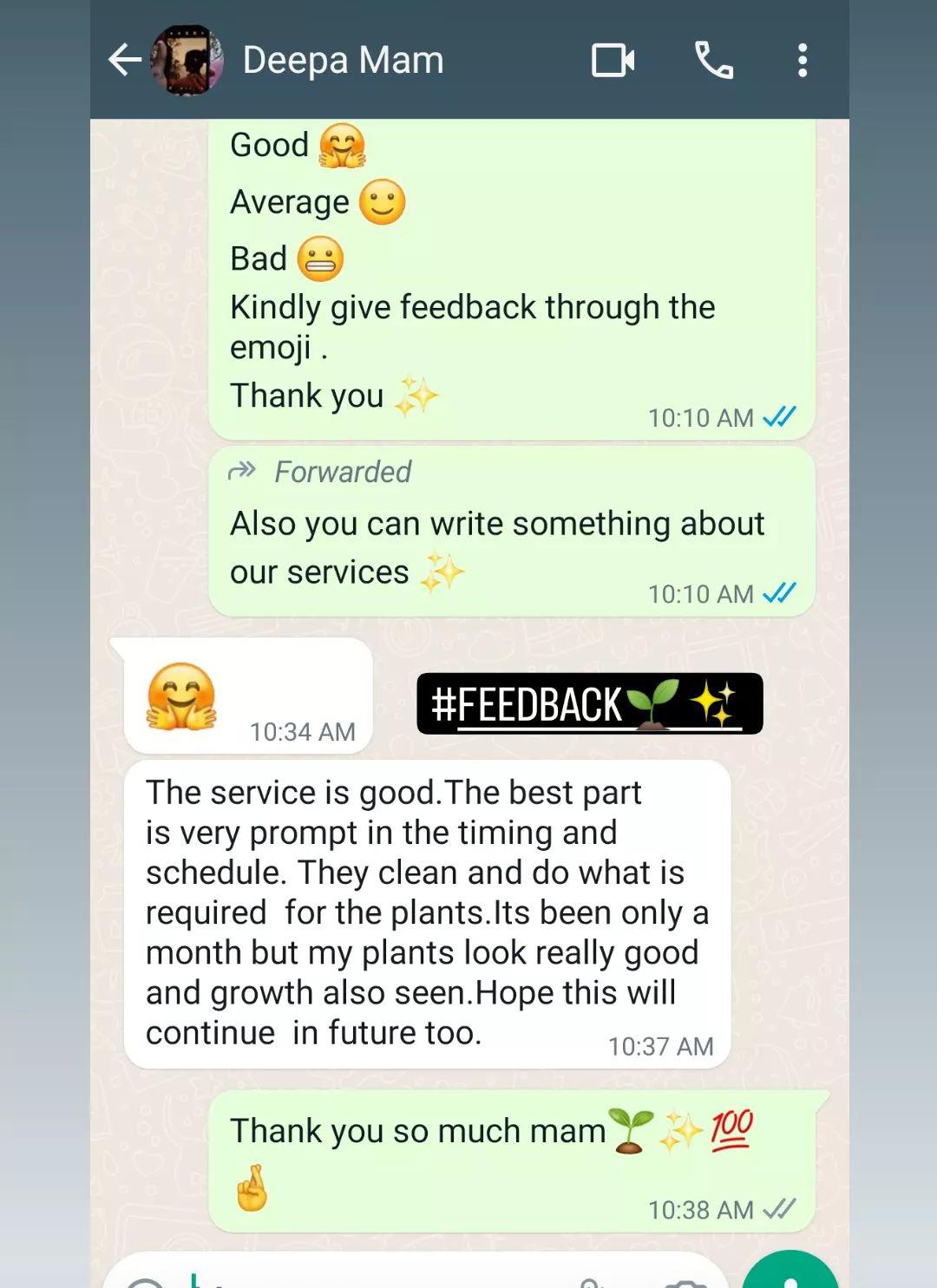 Feedback 8